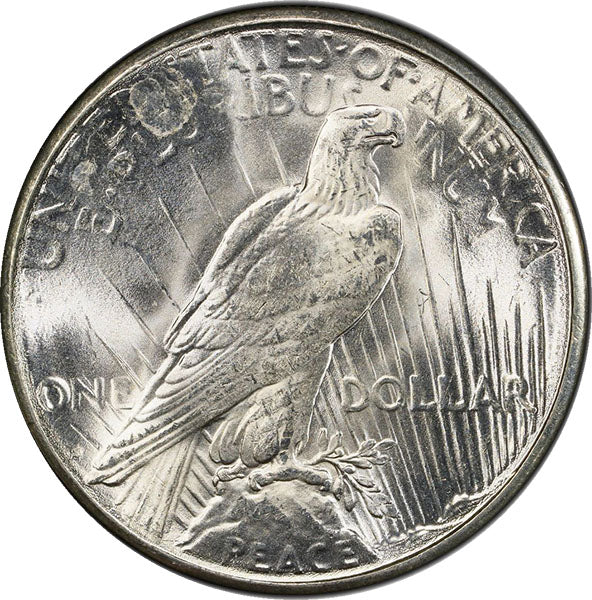 (7362) 1923-S $1 PCGS MS65 Peace reverse
