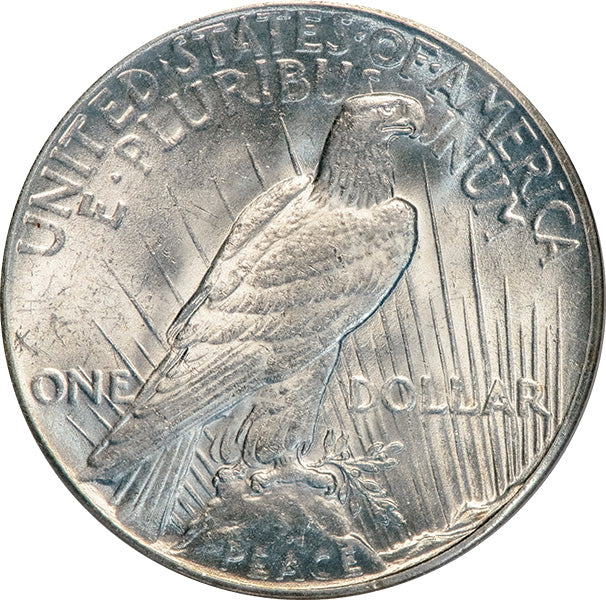 (7373) 1928 $1 PCGS MS64 CAC Peace reverse
